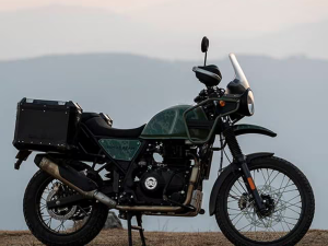 Himalayan