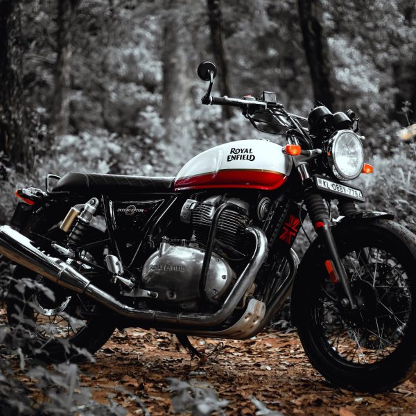 Image Radiator Guard For Interceptor 650 And Continental Gt650, X-Series Radiator Grill For Interceptor 650 And Continental Gt650.