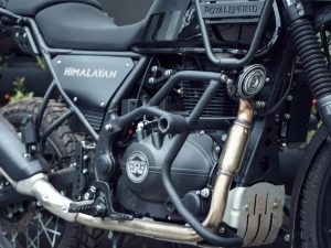Image Himalayan Bazooka Big CG With Slider Bs6