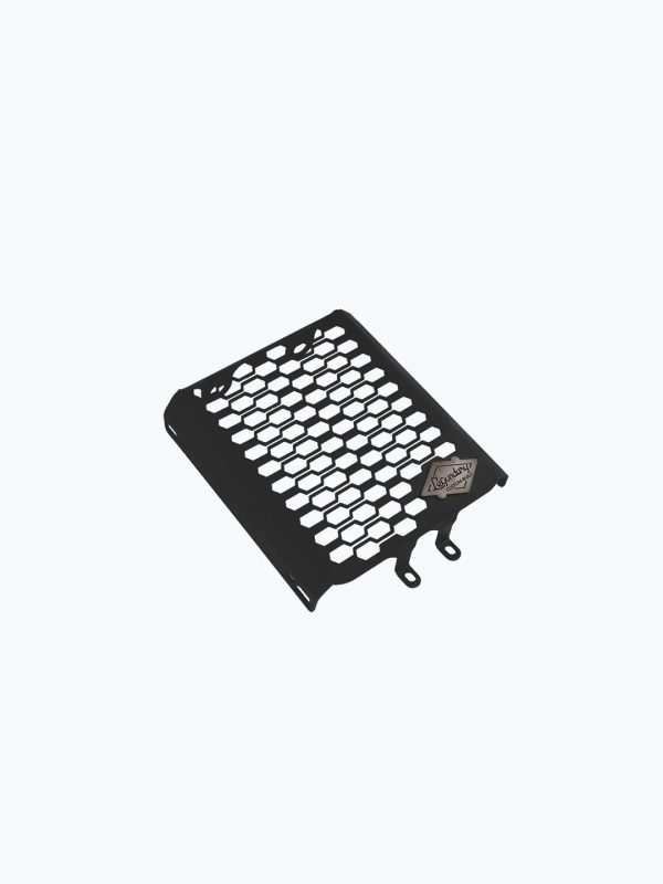 Image Interceptor Radiator Grill