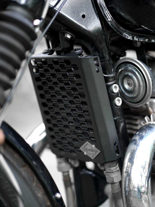 Image Interceptor Radiator Grill